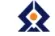 Leading IT Company 